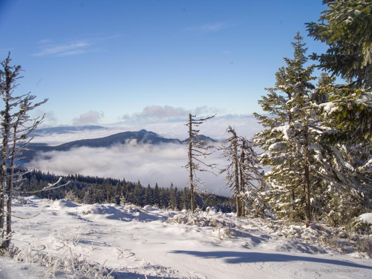 Wiesenquartier I Chalet I Adults Only Langenwang Luaran gambar